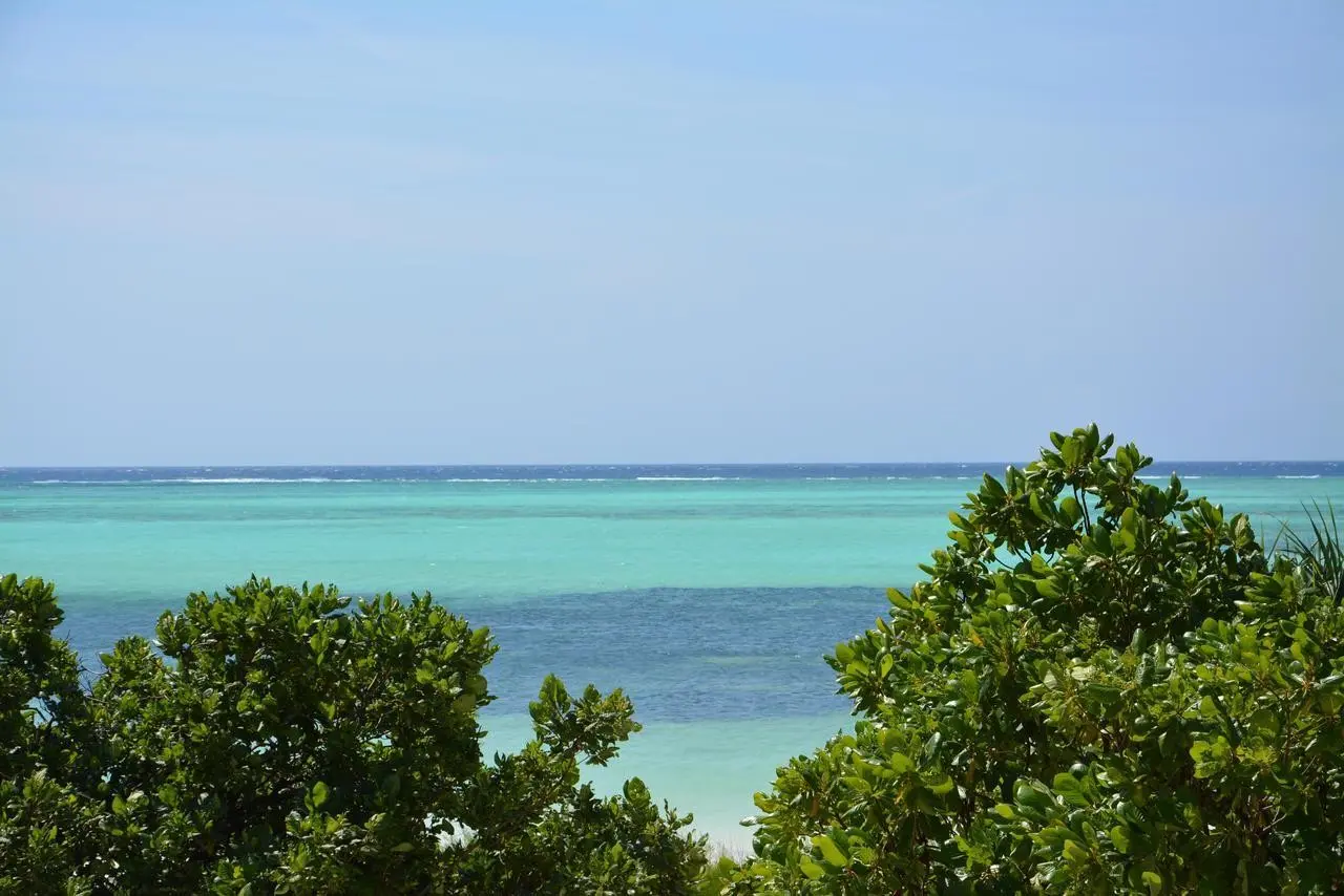 Neptune Pwani Beach Resort & Spa — NEPTUNE PWANI BEACH RESORT & SPA