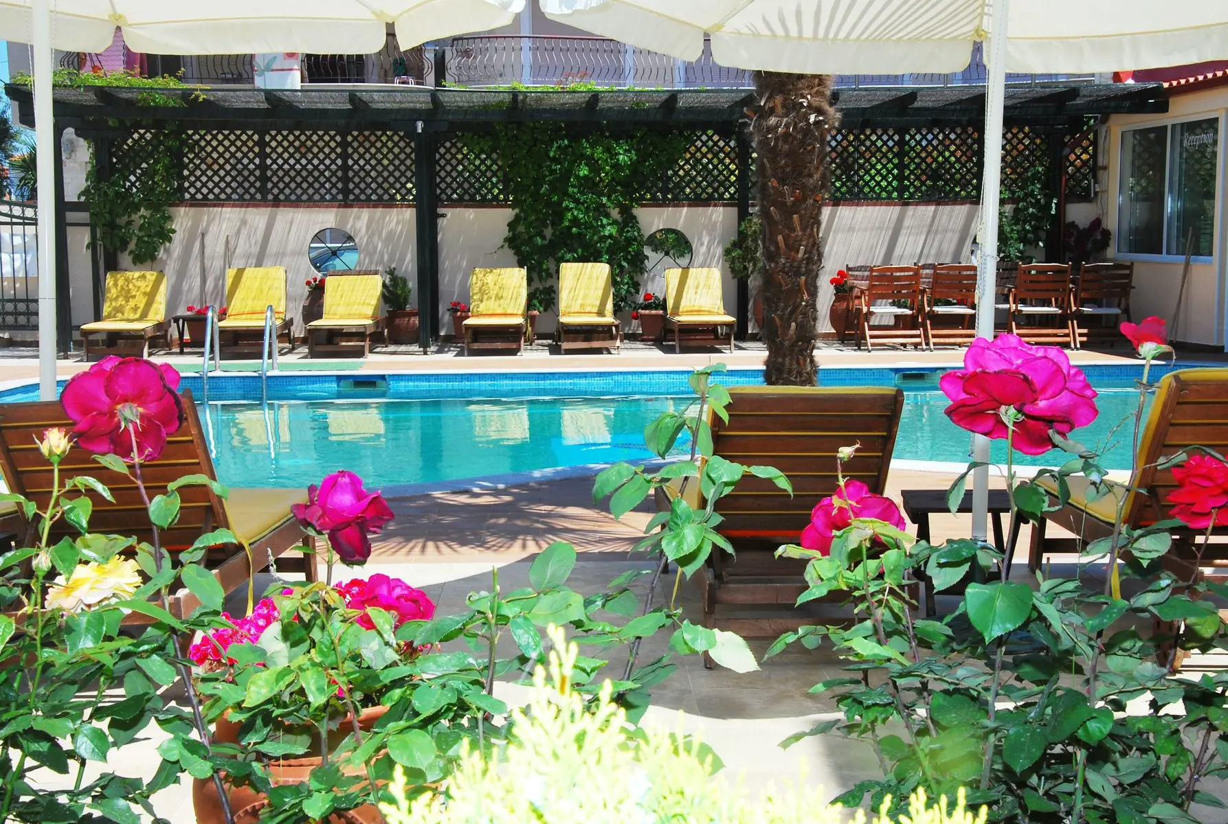 Olympia Hotel — OLYMPIA