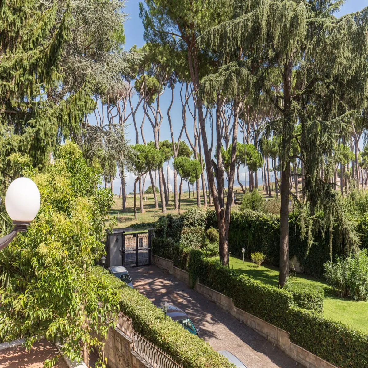 Pinewood Roma — PINEWOOD ROMA