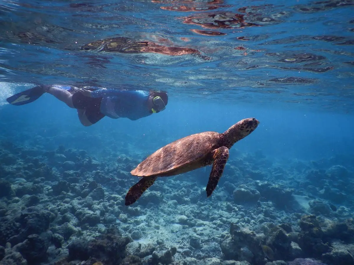 Reethi Faru Resort — REETHI FARU RESORT