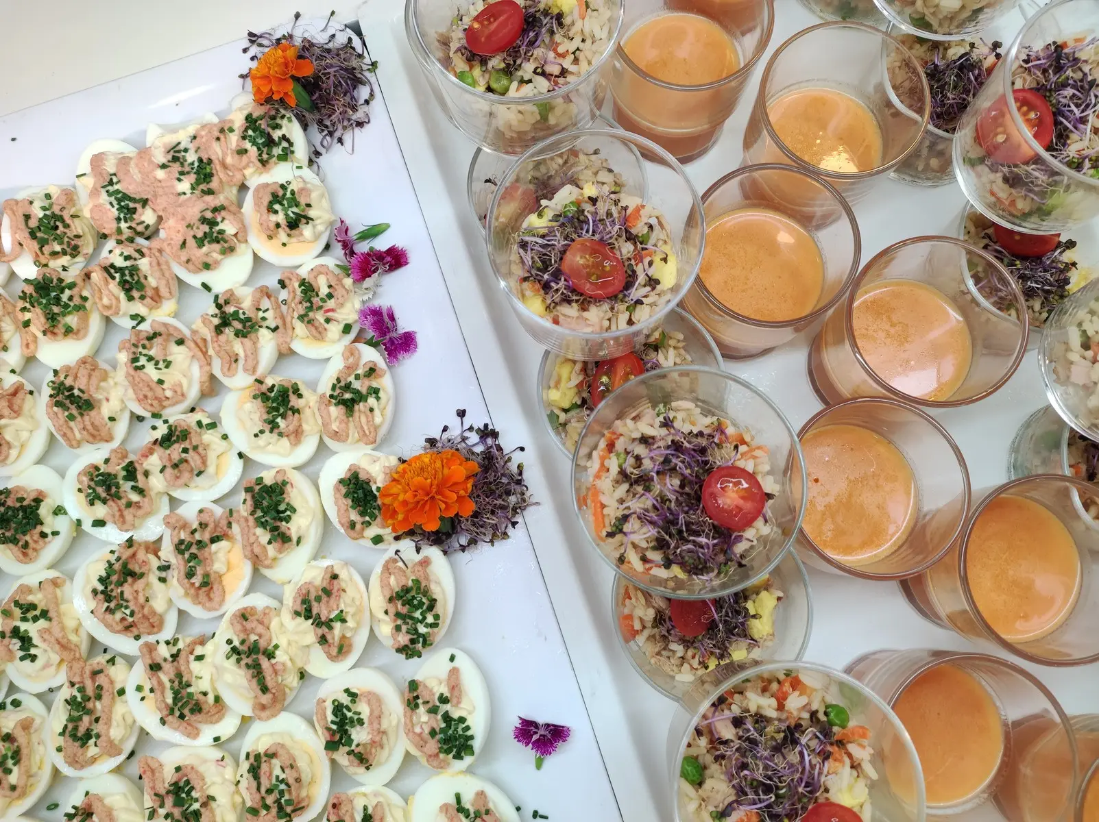 Rosamar Maritim — ROSAMAR MARITIM