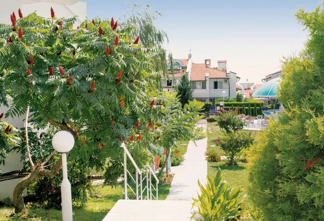 Sineva Park