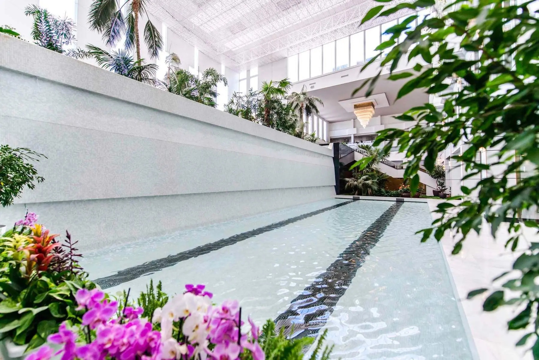 Spring Vulcano — SPRING VULCANO