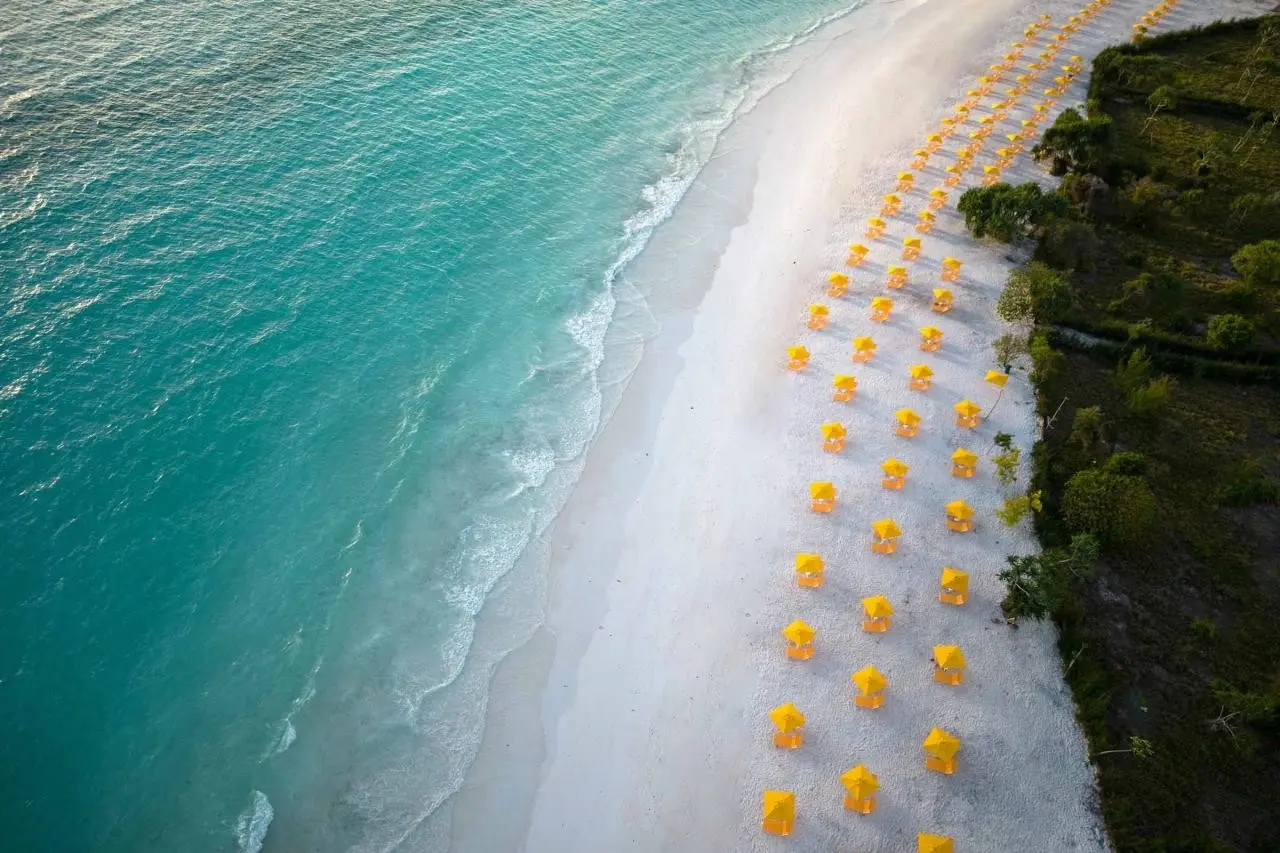 The Mora Zanzibar — THE MORA ZANZIBAR