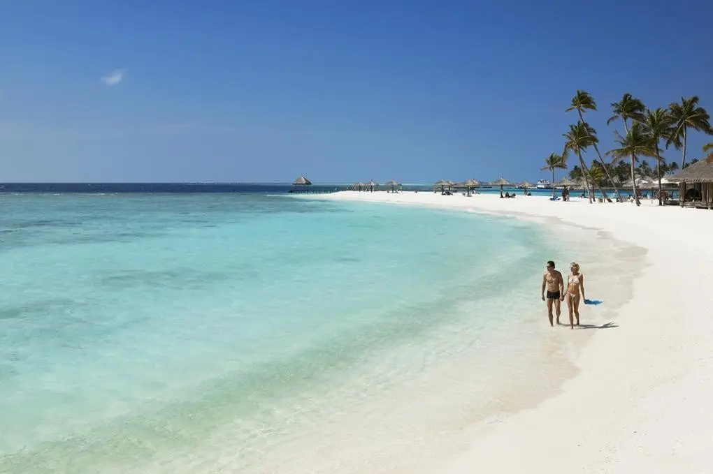 Plaża przy hotelu Veligandu Island Resort & Spa