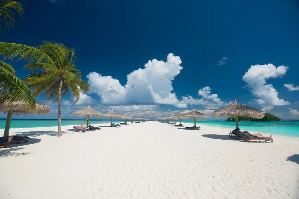 Plaża przy hotelu Veligandu Island Resort & Spa