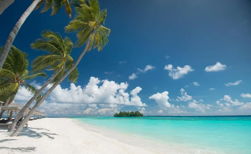 Plaża przy hotelu Veligandu Island Resort & Spa