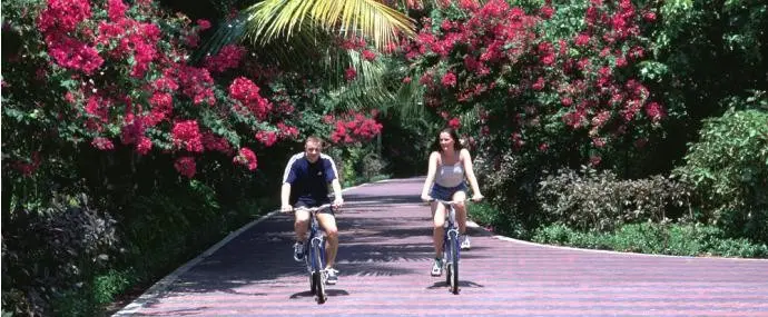 Villa Park [ex. Sun Island] — VILLA PARK (EX. SUN ISLAND)