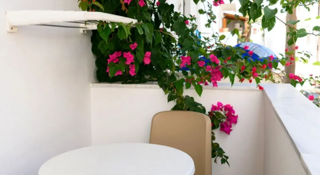 Widok z hotelu Alianthos Beach