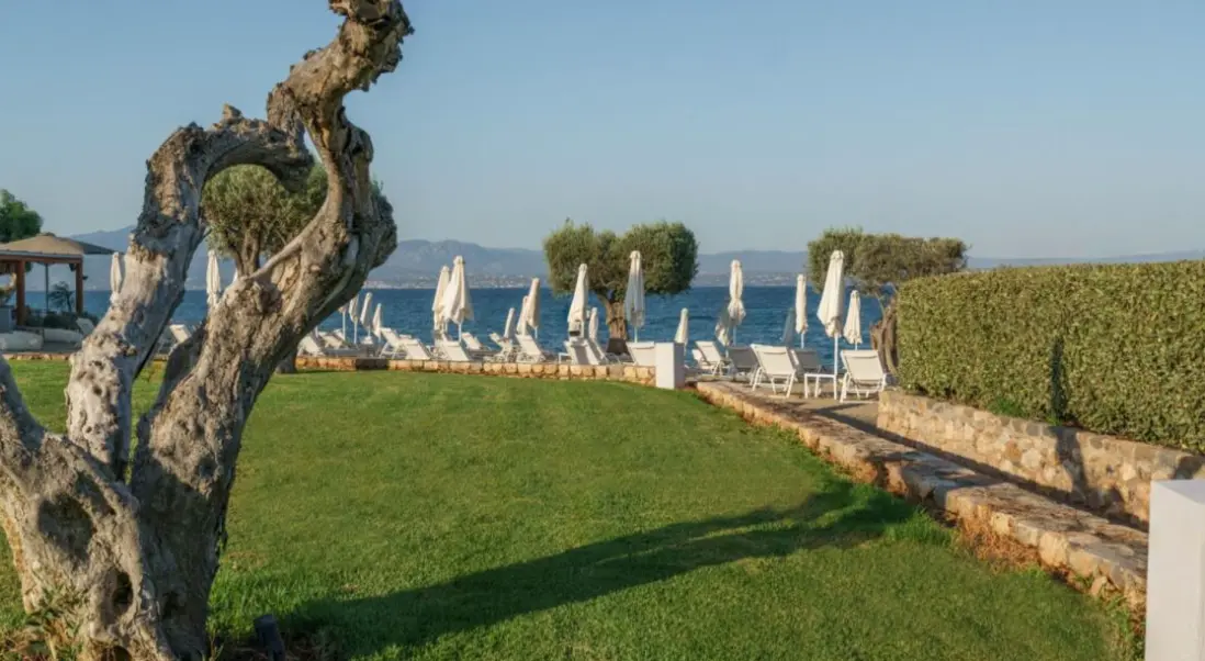 Plaża przy hotelu Amaronda Resort & Spa