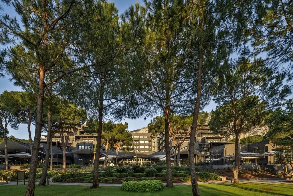 Balmy Foresta — BALMY FORESTA