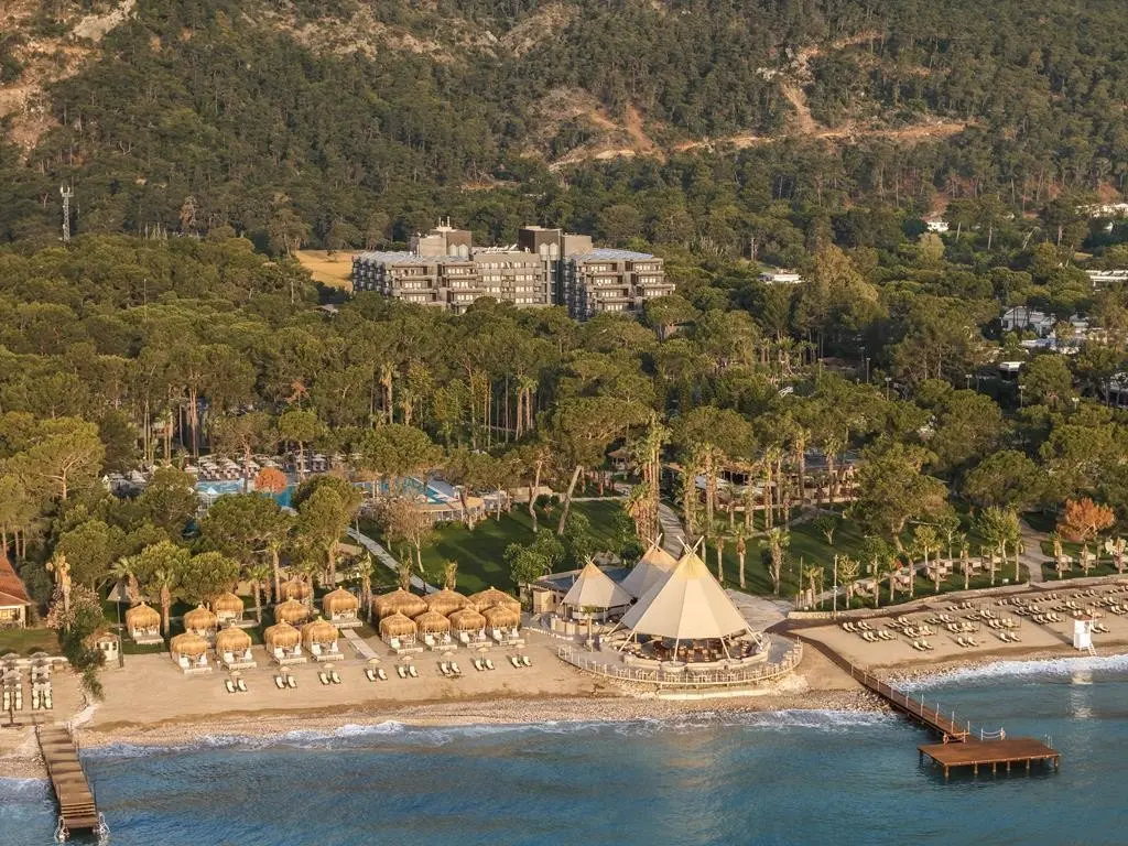 Balmy Foresta — BALMY FORESTA