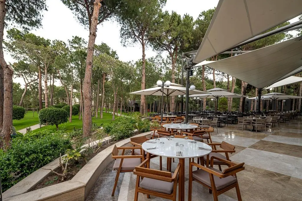 Balmy Foresta — BALMY FORESTA