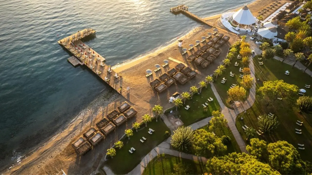 Balmy Foresta — BALMY FORESTA