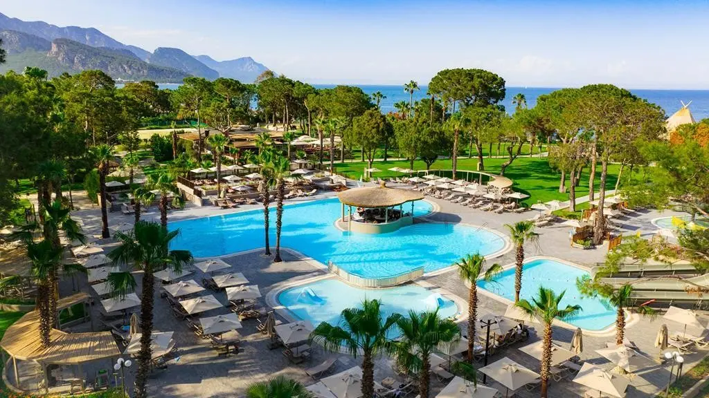 Balmy Foresta — BALMY FORESTA