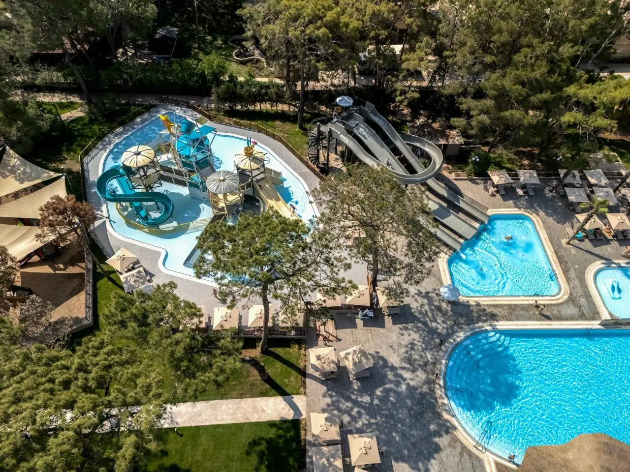 Balmy Foresta — BALMY FORESTA