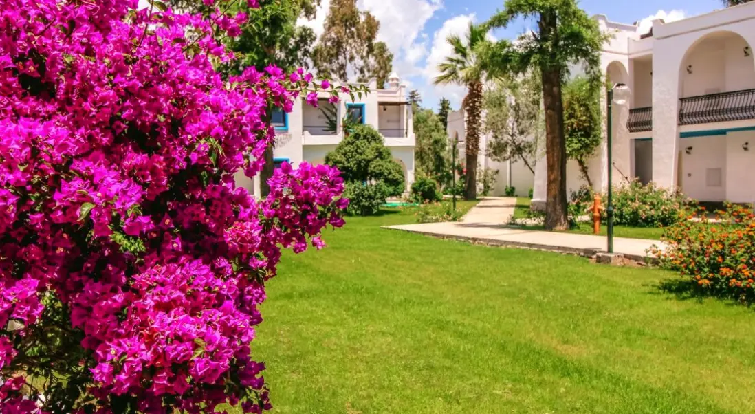 Obiekt hotelu Club Müskebi