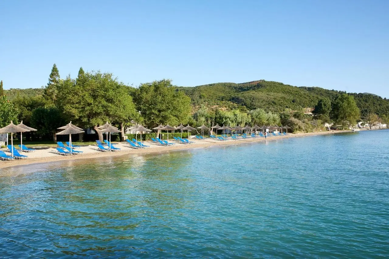 Delfinia — DELFINIA