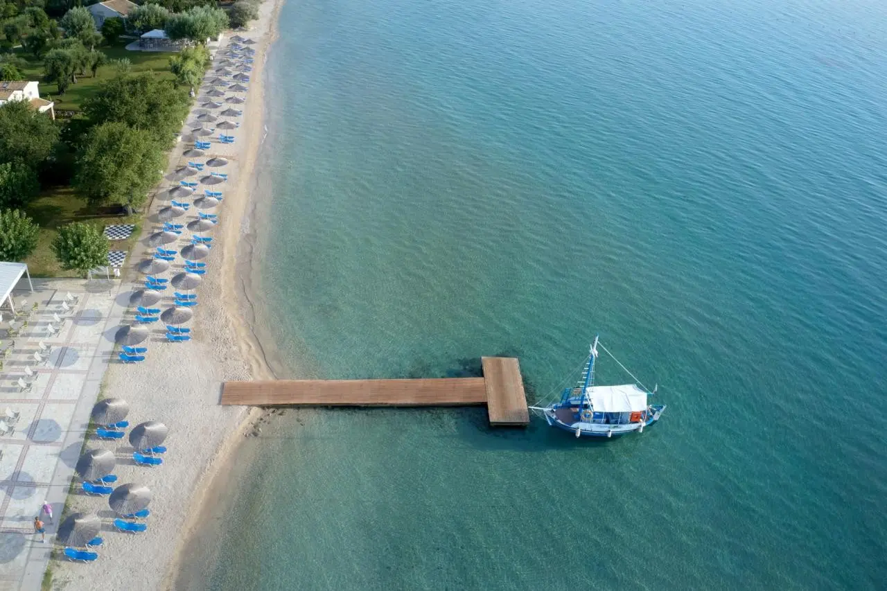 Delfinia — DELFINIA