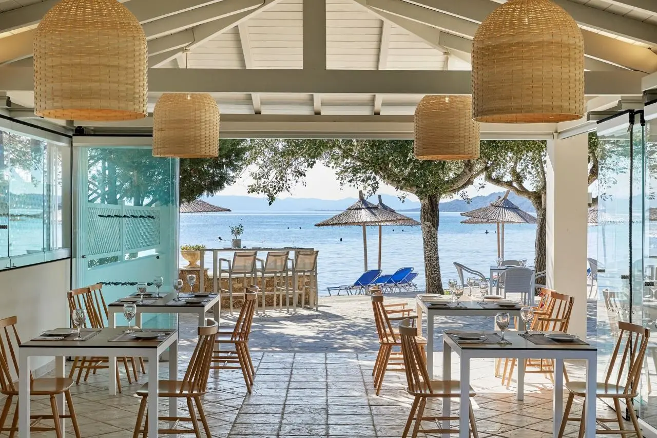 Delfinia — DELFINIA