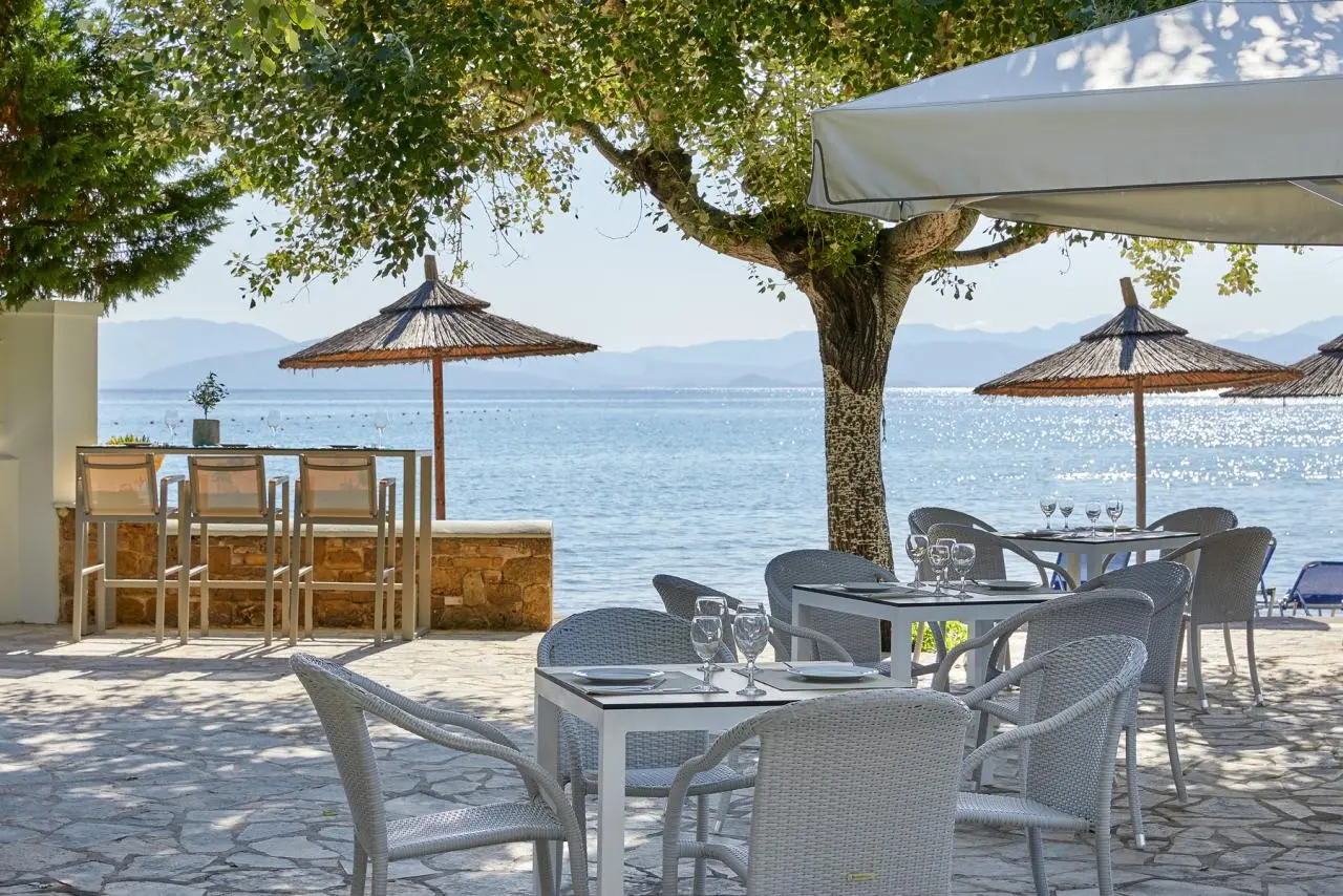 Delfinia — DELFINIA