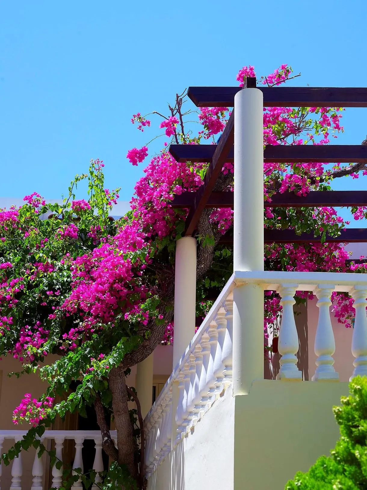 Elotis Suites Ag. Marina — ELOTIS SUITES