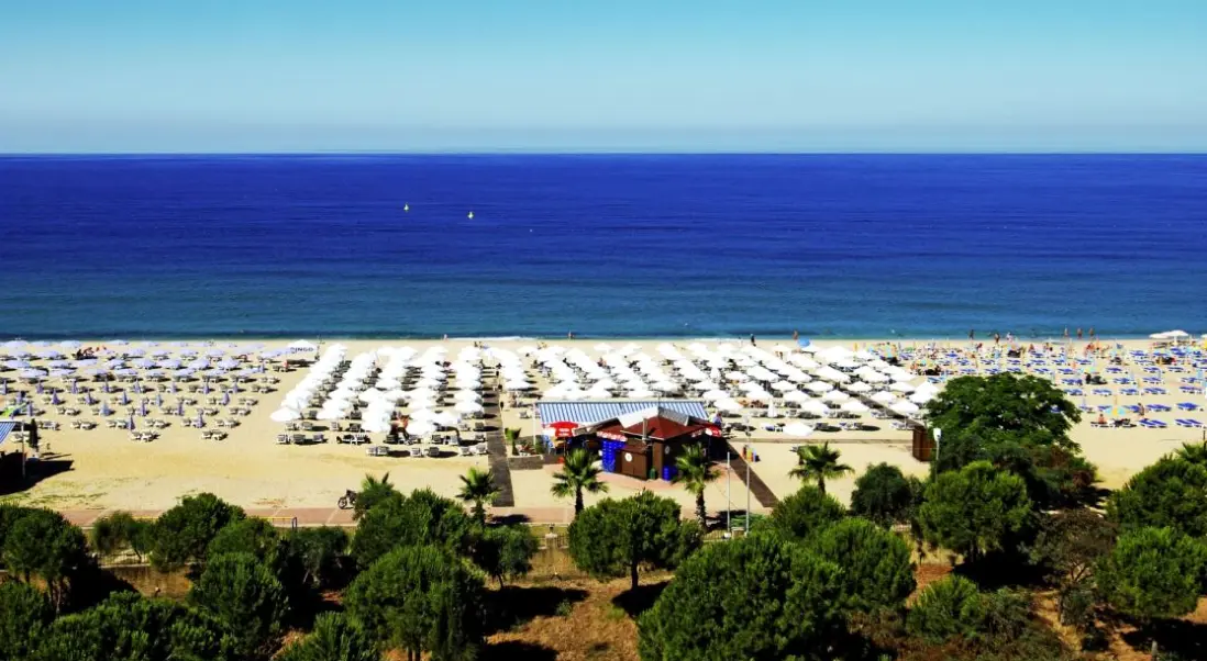 Plaża przy hotelu Grand Zaman Beach