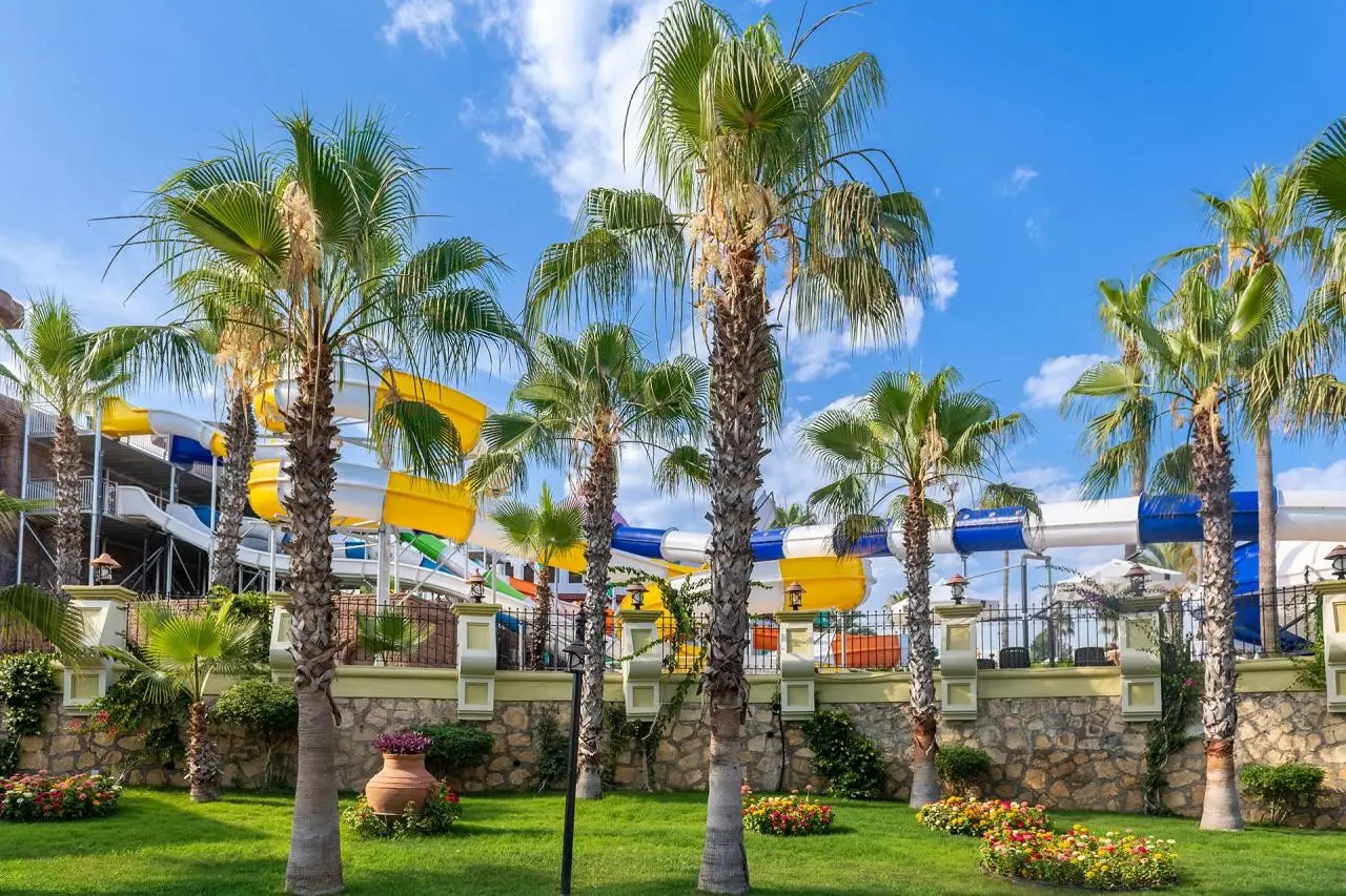 Kamelya Collection Aishen Club — KAMELYA AISHEN CLUB