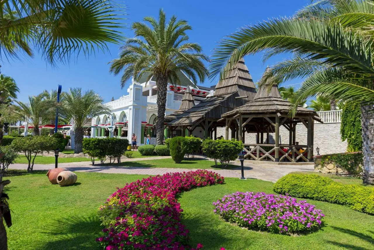 Kamelya Collection Aishen Club — KAMELYA AISHEN CLUB