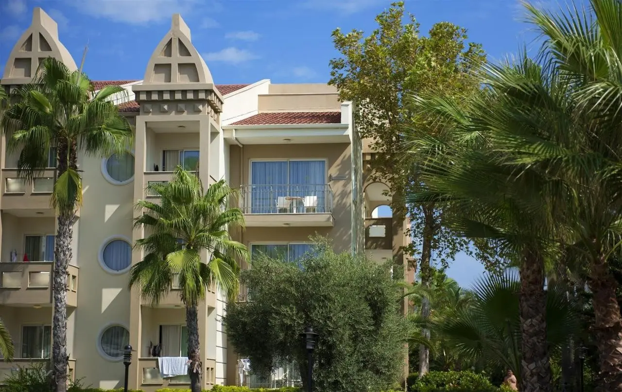 Kamelya Collection Aishen Club — KAMELYA AISHEN CLUB