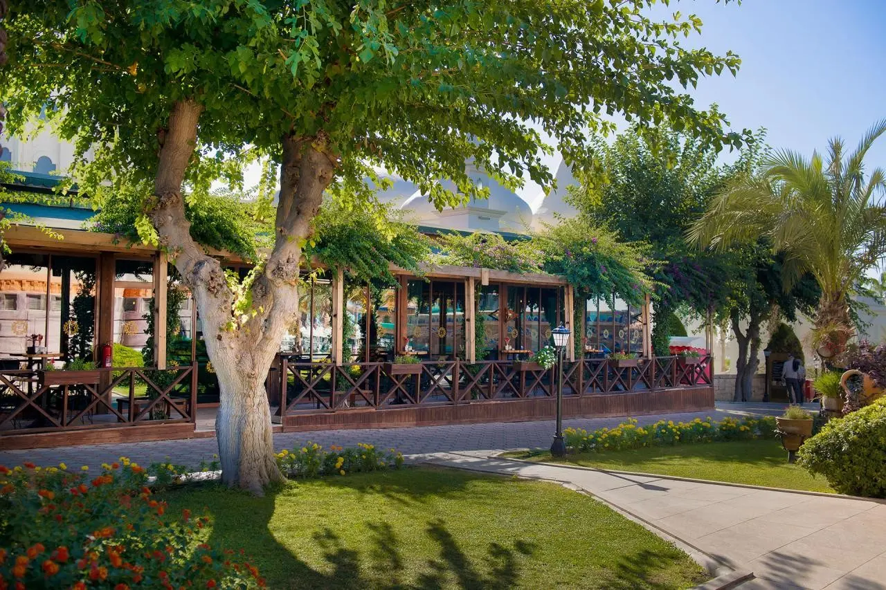 Kamelya Collection Aishen Club — KAMELYA AISHEN CLUB