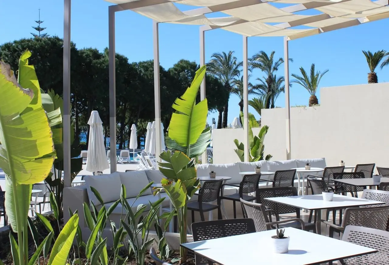 Paloma Perissia — PALOMA PERISSIA