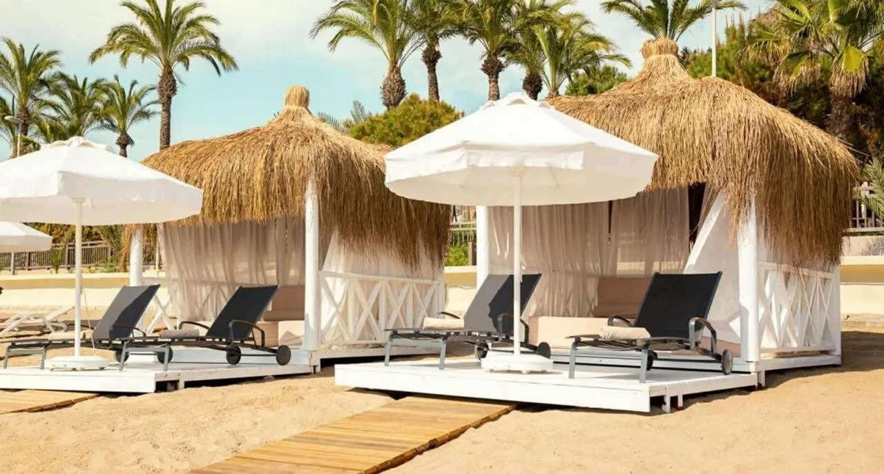 Paloma Perissia — PALOMA PERISSIA