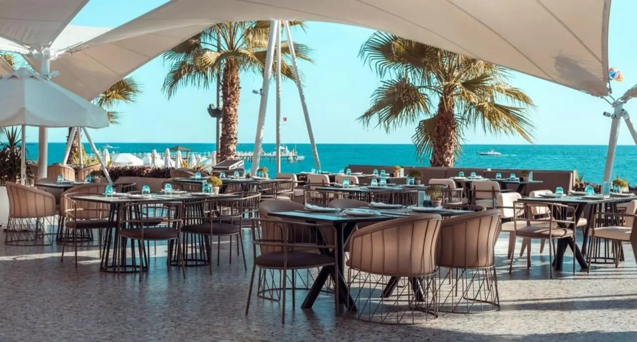 Paloma Perissia — PALOMA PERISSIA