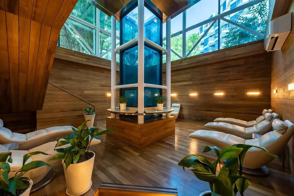 Paloma Sencia — PALOMA SENCIA