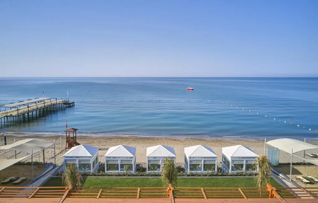 Paloma Sencia — PALOMA SENCIA