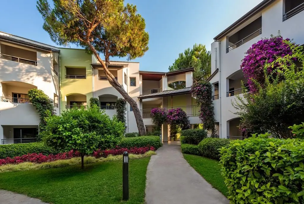 Paloma Sencia — PALOMA SENCIA