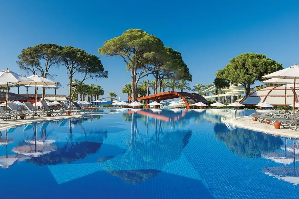 Paloma Sencia — PALOMA SENCIA