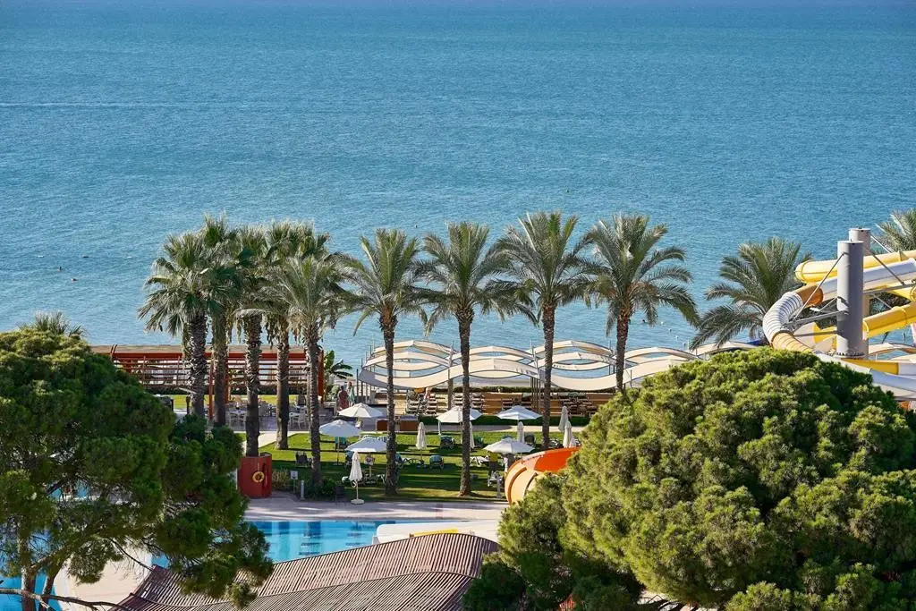 Paloma Sencia — PALOMA SENCIA