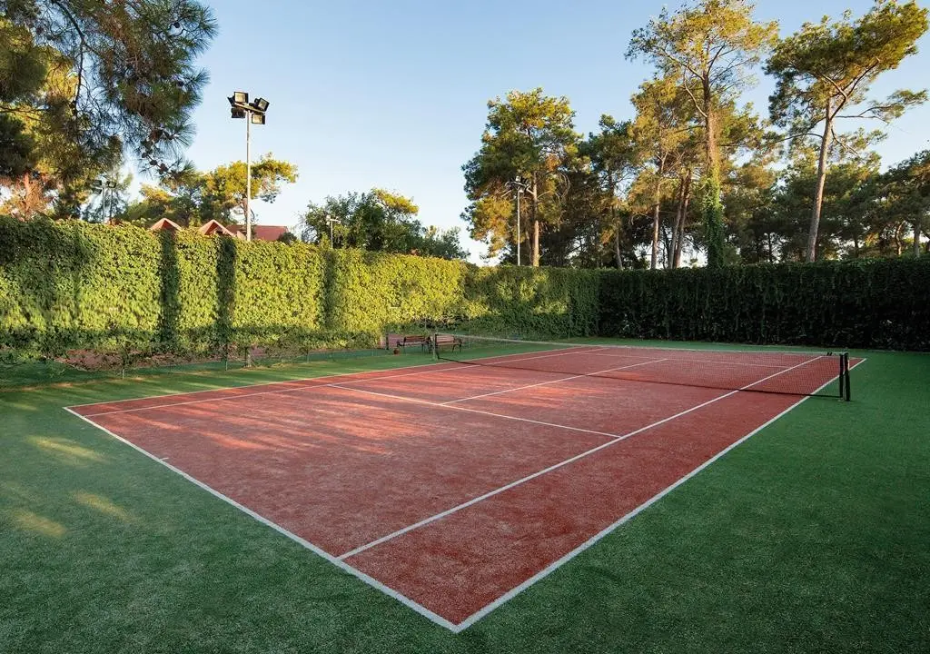 Paloma Sencia — PALOMA SENCIA