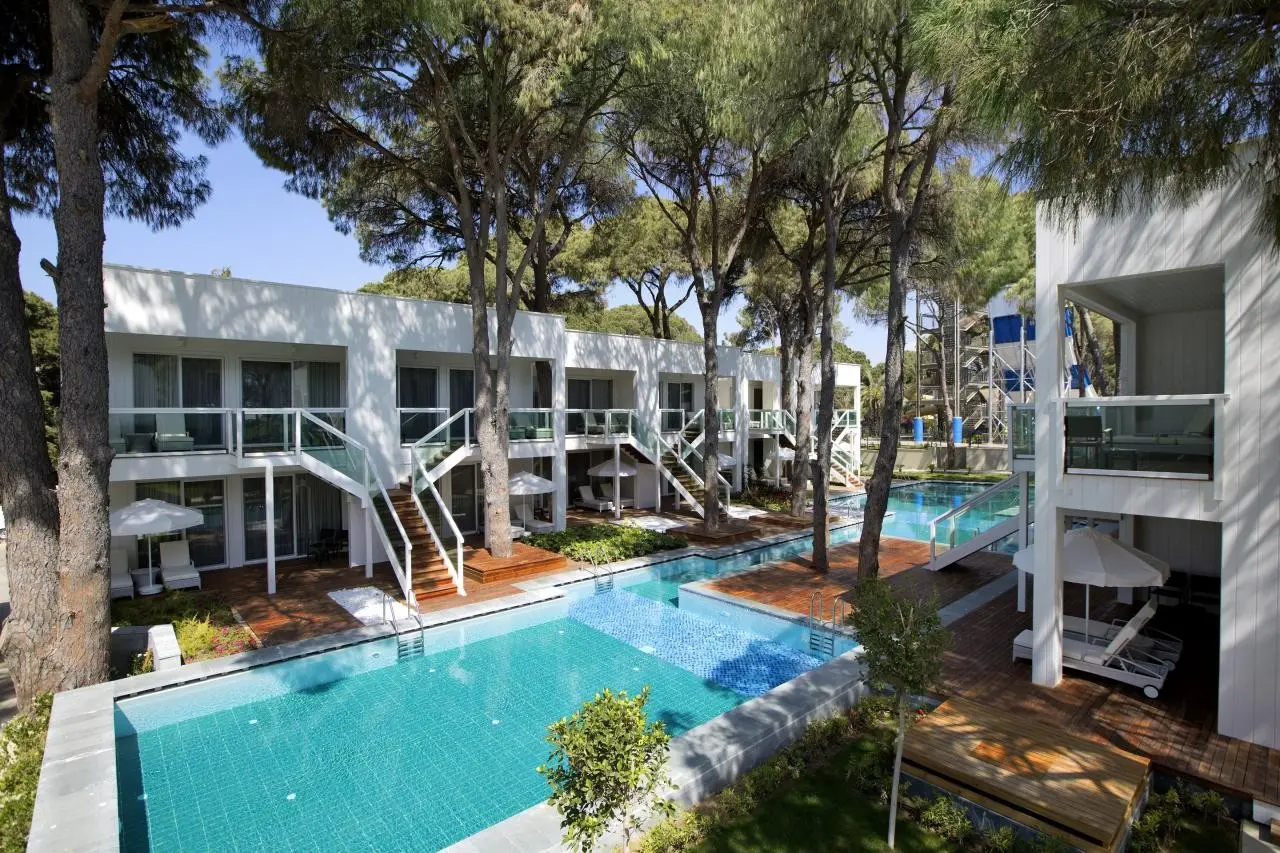 Papillon Zeugma — PAPILLON ZEUGMA