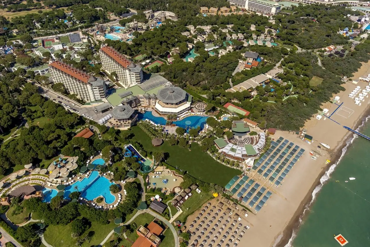 Papillon Zeugma — PAPILLON ZEUGMA