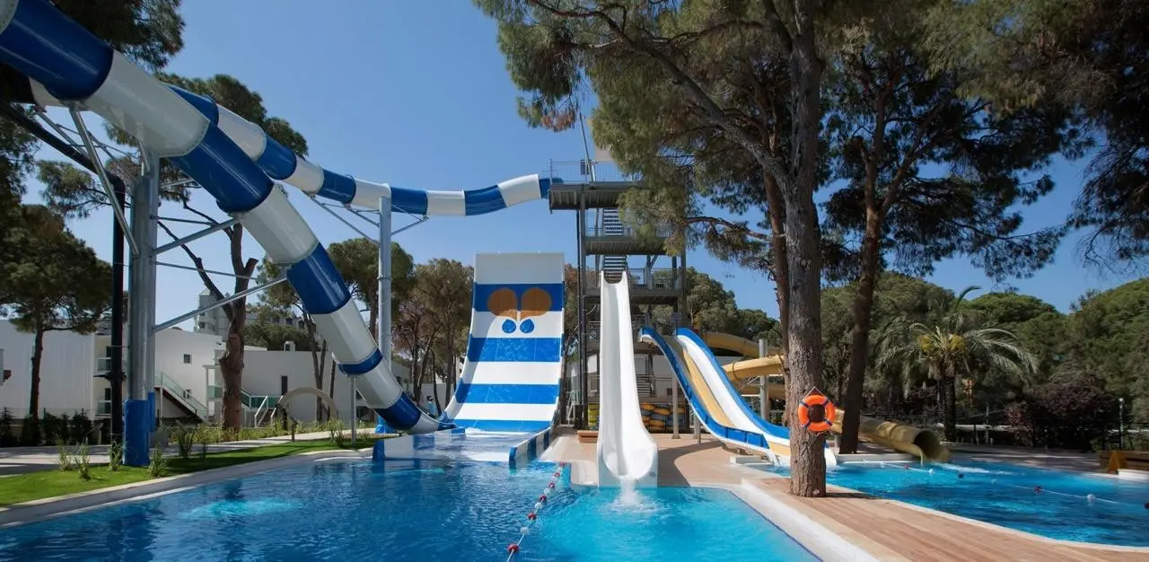 Papillon Zeugma — PAPILLON ZEUGMA