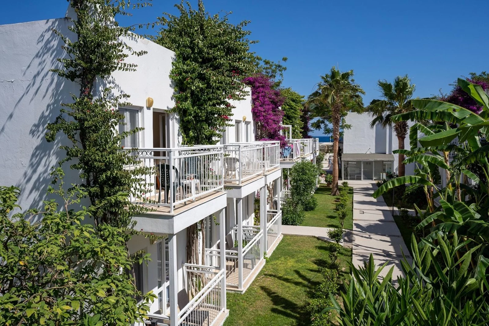 Hotel Petunya Beach Resort w Turcja (Bodrum) - oferta last minute