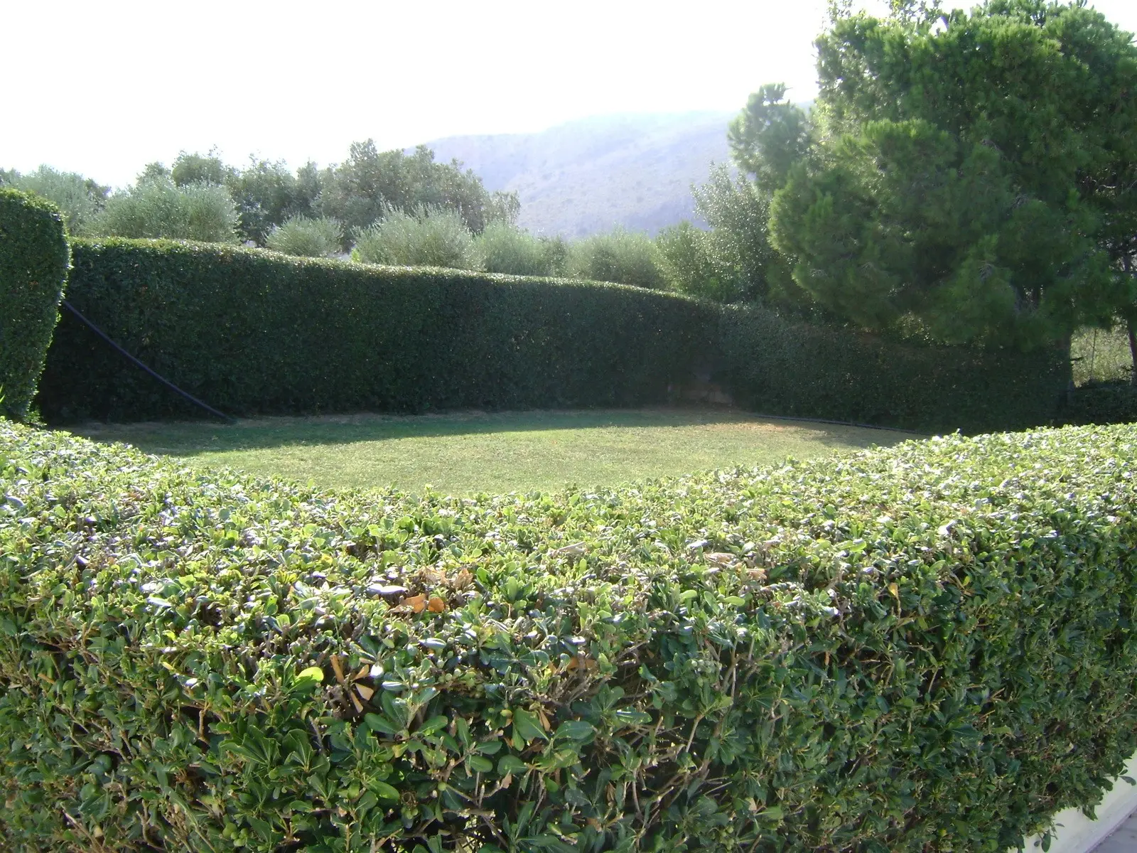 Poseidon Studios & Apartments — POSEIDON HOTEL AMOUDARA