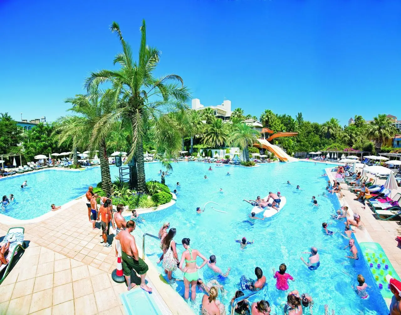 Side Star Elegance — SIDE STAR ELEGANCE