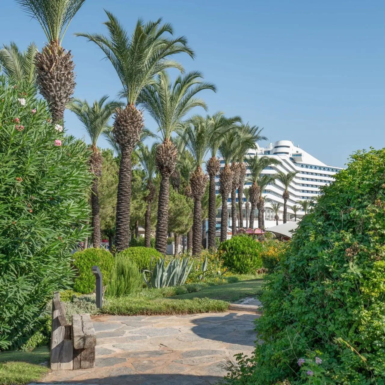 Titanic Deluxe Lara — TITANIC DELUXE LARA