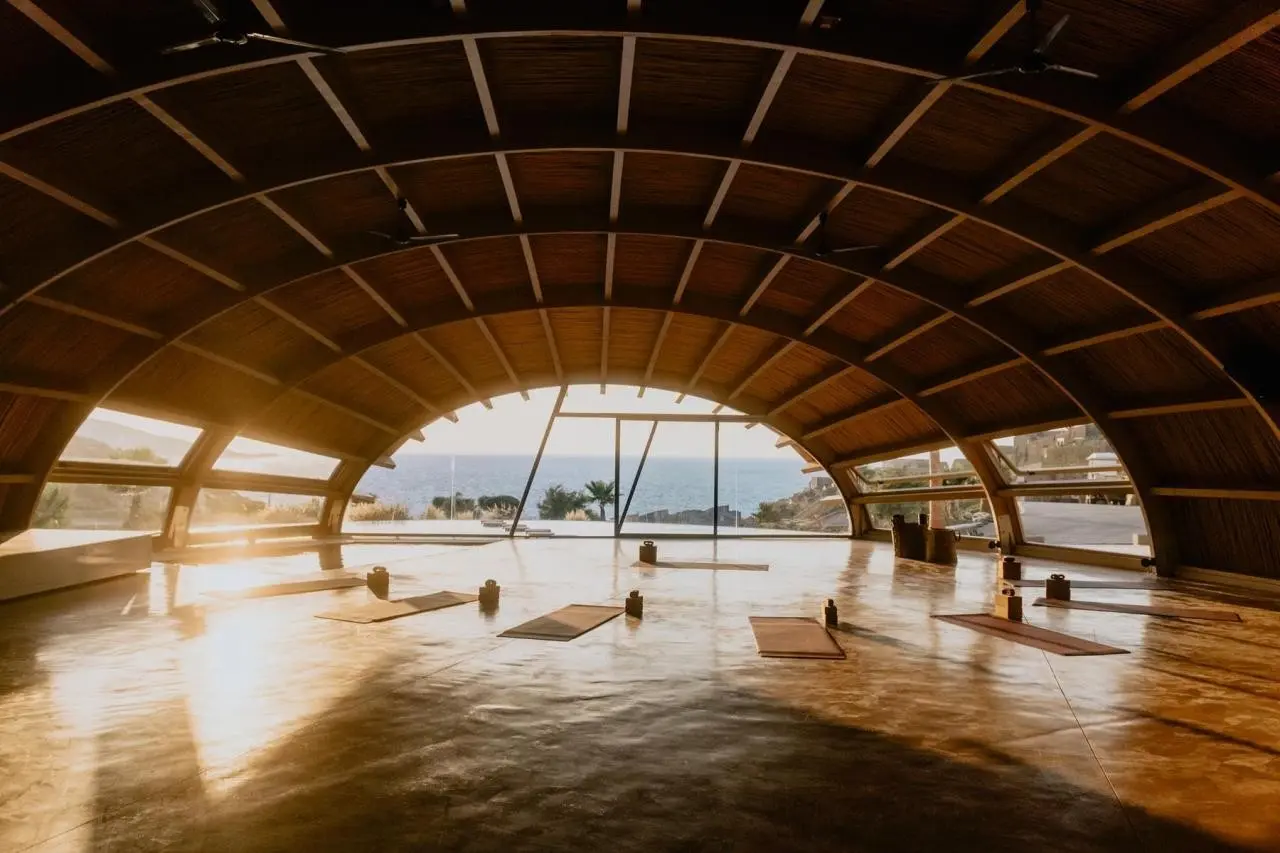 Acro Suites — ACRO SUITES