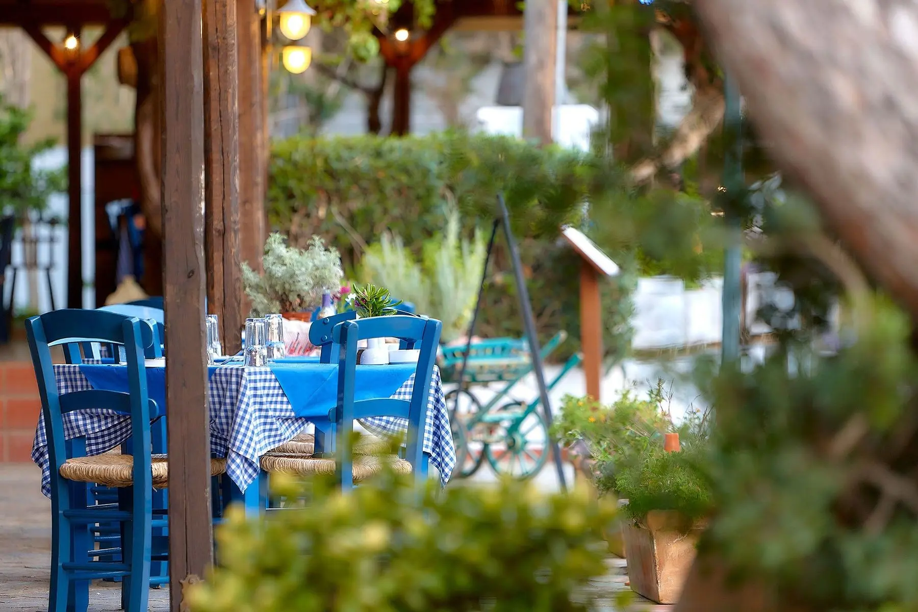 Alexander Beach Hotel & Village Resort — ALEXANDER BEACH HOTEL & VILLAGE RESORT