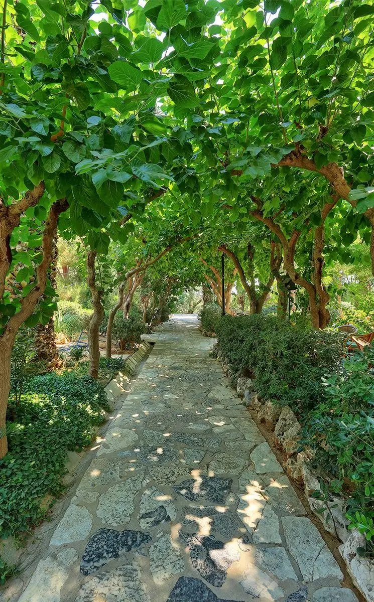 Apollonia Beach Resort & Spa — APOLLONIA BEACH RESORT & SPA